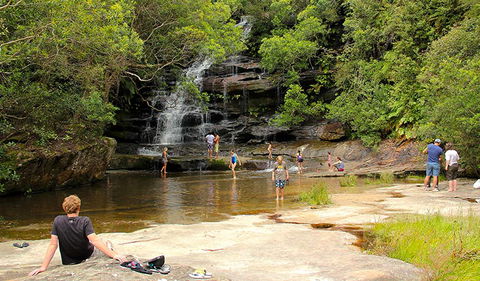 Somersby Falls Picnic Area - Accommodation Bookings 0