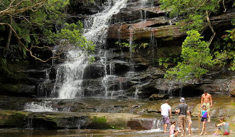 Somersby Falls Picnic Area - Accommodation Bookings 2