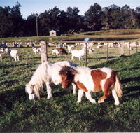 Trudgalong Farm - Accommodation Bookings
