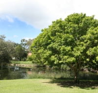 Hervey Bay Botanic Gardens - Accommodation Bookings