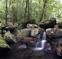 Kangaroo River - Accommodation Bookings