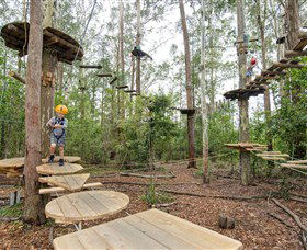 TreeTop Adventure Park Central Coast - Accommodation Bookings 1