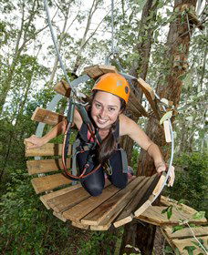 TreeTop Adventure Park Central Coast - Accommodation Bookings 3