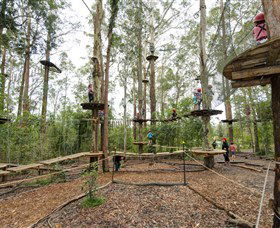 TreeTop Adventure Park Central Coast - Accommodation Bookings 5