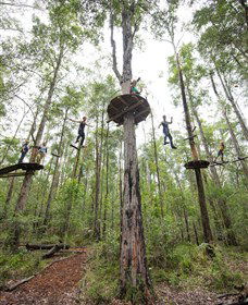 TreeTop Adventure Park Central Coast - Accommodation Bookings 4