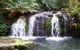 Barrington Tops National Park Walks - thumb 0