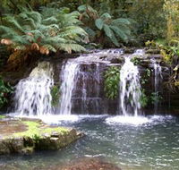 Barrington Tops National Park Walks - Accommodation Bookings