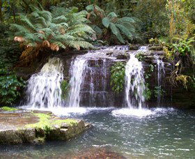 Barrington Tops National Park Walks - Accommodation Bookings 0