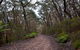 Budawang National Park - thumb 0
