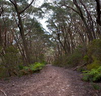 Budawang National Park - Accommodation Bookings