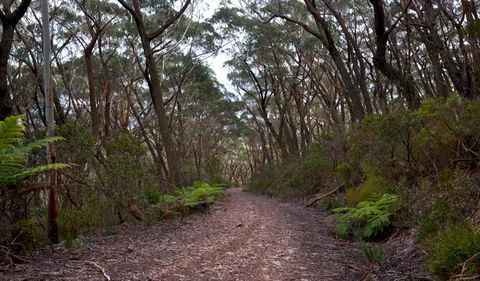 Budawang National Park - Accommodation Bookings 0