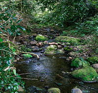 Macquarie Pass National Park - Accommodation Bookings