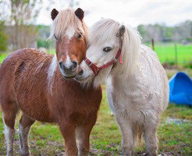 Amazement Farm And Fun Park / Cafe And Farmstay Accommodation - Accommodation Bookings 5