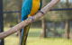 Amazement Farm And Fun Park / Cafe And Farmstay Accommodation - thumb 8