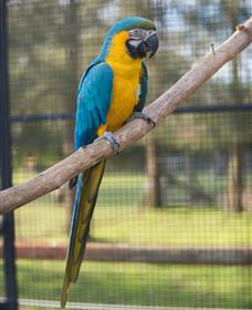 Amazement Farm And Fun Park / Cafe And Farmstay Accommodation - Accommodation Bookings 8
