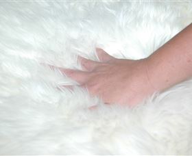 Mortels Sheepskin Factory - Accommodation Bookings 4