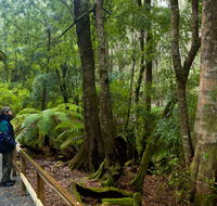 Monga National Park - Accommodation Bookings