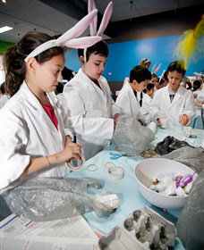 Australian Nuclear Science And Technology Organisation - Accommodation Bookings 1