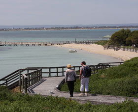 Penguin Island Boardwalks And Walk Trail - Accommodation Bookings 1