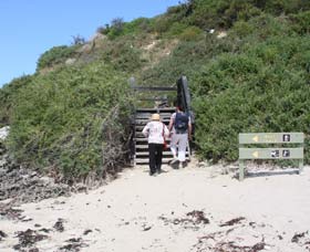 Penguin Island Boardwalks And Walk Trail - Accommodation Bookings 2