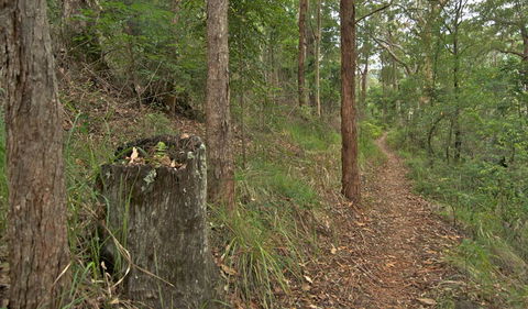 Border Loop Walk - Accommodation Bookings 0