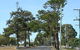 Anzac Memorial Avenue, Redcliffe - thumb 2