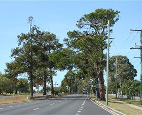 Anzac Memorial Avenue, Redcliffe - Accommodation Bookings 2