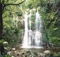 Budderoo National Park - The Falls Walk - Accommodation Bookings