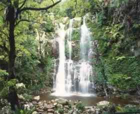 Budderoo National Park - The Falls Walk - Accommodation Bookings 0