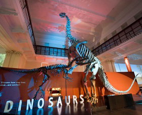 Australian Museum - Accommodation Bookings 0