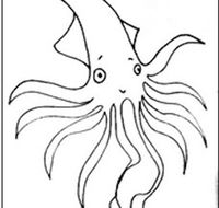 Squid Studio - Accommodation Bookings
