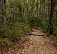 Pigeon House Mountain Didthul walking track - Accommodation Bookings
