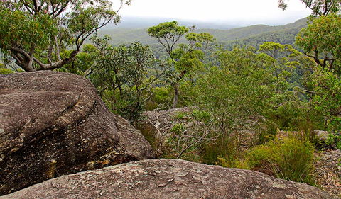 Pigeon House Mountain Didthul Walking Track - Accommodation Bookings 1