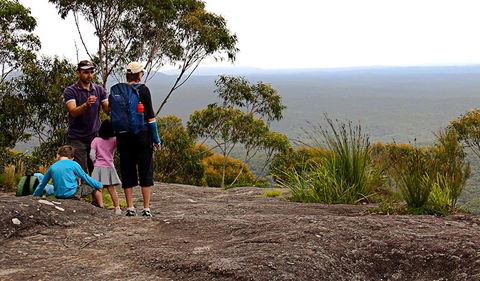 Pigeon House Mountain Didthul Walking Track - Accommodation Bookings 2