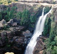 Minnamurra Rainforest Centre Budderoo National Park - Accommodation Bookings