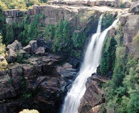 Minnamurra Rainforest Centre: Budderoo National Park - Accommodation Bookings 0