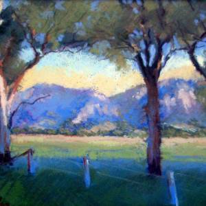 Galleries In The Gardens - Accommodation Bookings 4