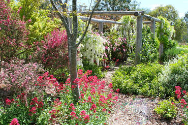 Ivy Hill Gallery - Accommodation Bookings 6