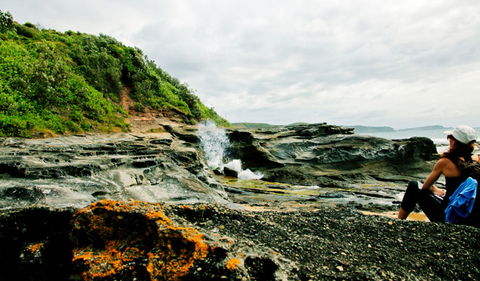 Glenrock State Conservation Area - Accommodation Bookings 0