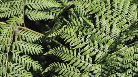Glenrock State Conservation Area - Accommodation Bookings 3