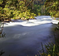 Nymboi-Binderay National Park - Accommodation Bookings