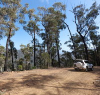 Wadbilliga Road drive - Accommodation Bookings