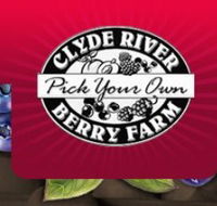 Clyde River Berry Farm - Accommodation Bookings