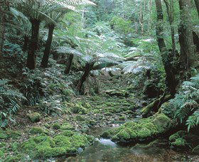 The Corn Trail Walk - Accommodation Bookings 0