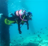 Shellharbour Scuba  Photography Centre - Accommodation Bookings