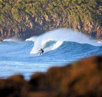 Killalea Beach - Accommodation Bookings