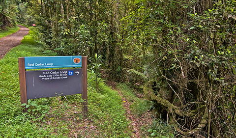 Red Cedar Loop - Accommodation Bookings 0