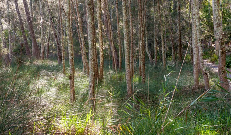 Brundee NSW Accommodation Bookings