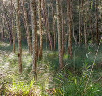 Anabranch loop track - Accommodation Bookings