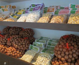 Medowie Macadamias - Accommodation Bookings 2